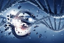 玄幻小说创作入门指南